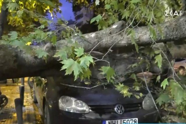 Θεσσαλονίκη: Δέντρο έπεσε σε κεντρικό δρόμο και καταπλάκωσε ΙΧ