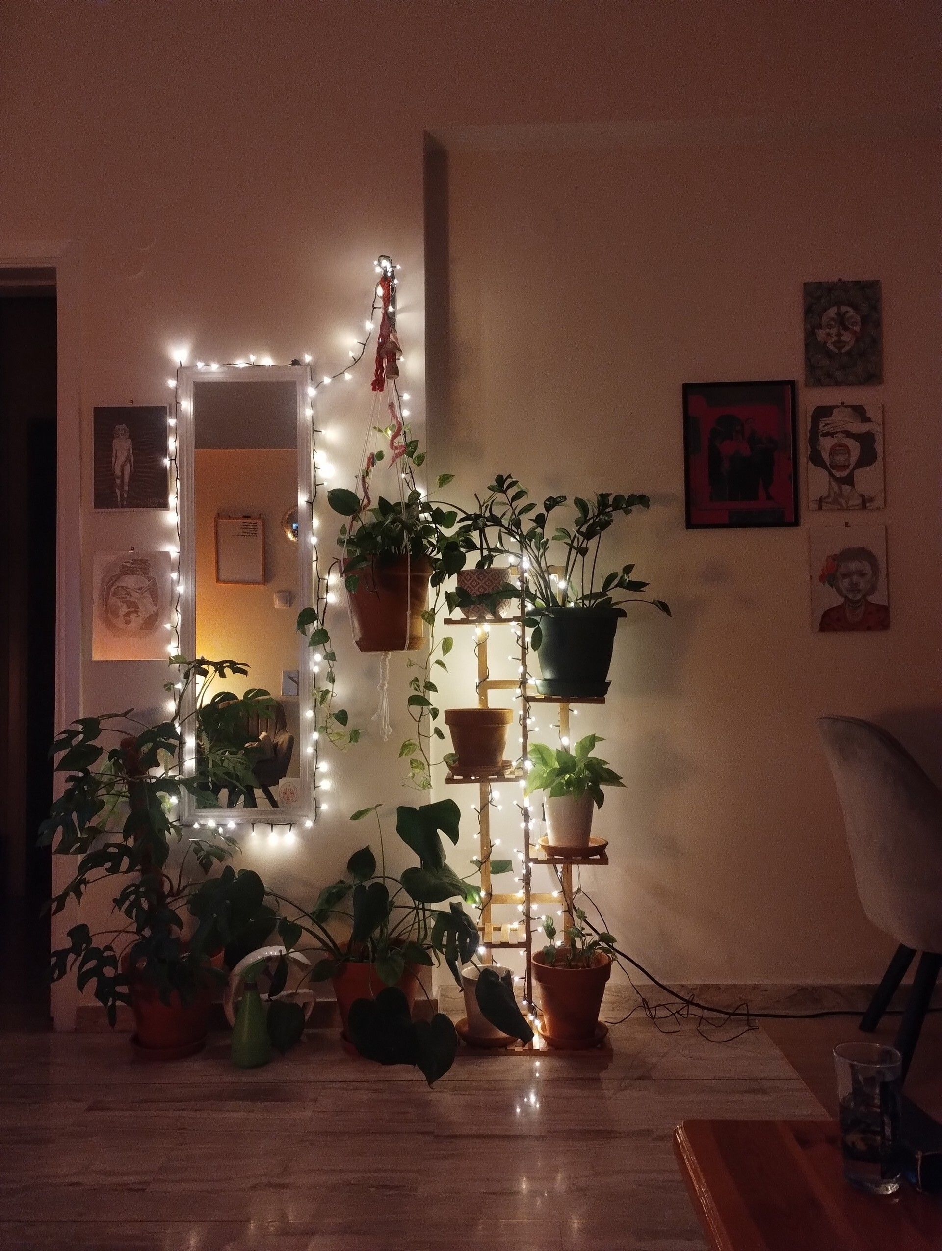 Τα φυτά της Ιωάννας