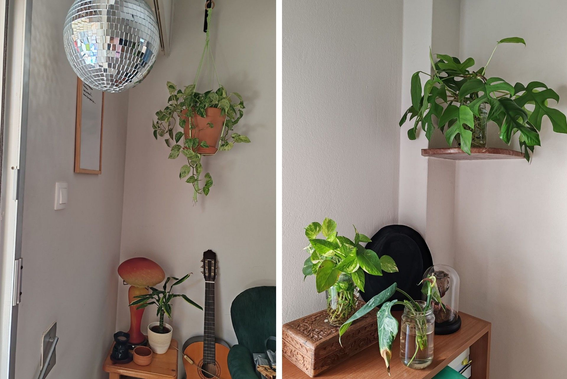 Τα φυτά της Ιωάννας