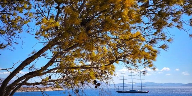 Καιρός: Αίθριος με ανοιξιάτικες θερμοκρασίες – Η πρόβλεψη για την 28η Οκτωβρίου