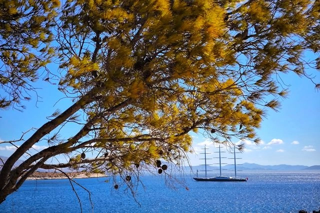 Καιρός: Αίθριος με ανοιξιάτικες θερμοκρασίες – Η πρόβλεψη για την 28η Οκτωβρίου