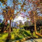 Συνεχίζονται οι υψηλές θερμοκρασίες και την Κυριακή – Πού θα βρέξει