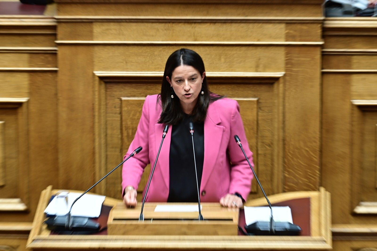 Η Νίκη Κεραμέως στη Βουλή