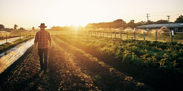 Σκάνδαλο ΟΠΕΚΕΠΕ: “Τρύπα” 2,5 εκατομμυρίων για τον “Φραπέ” με τη Jaguar