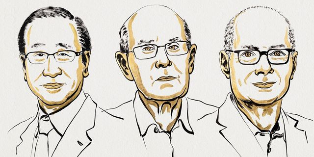 Οι επιστήμονες που τιμήθηκαν με το Νόμπελ Χημείας το 2025