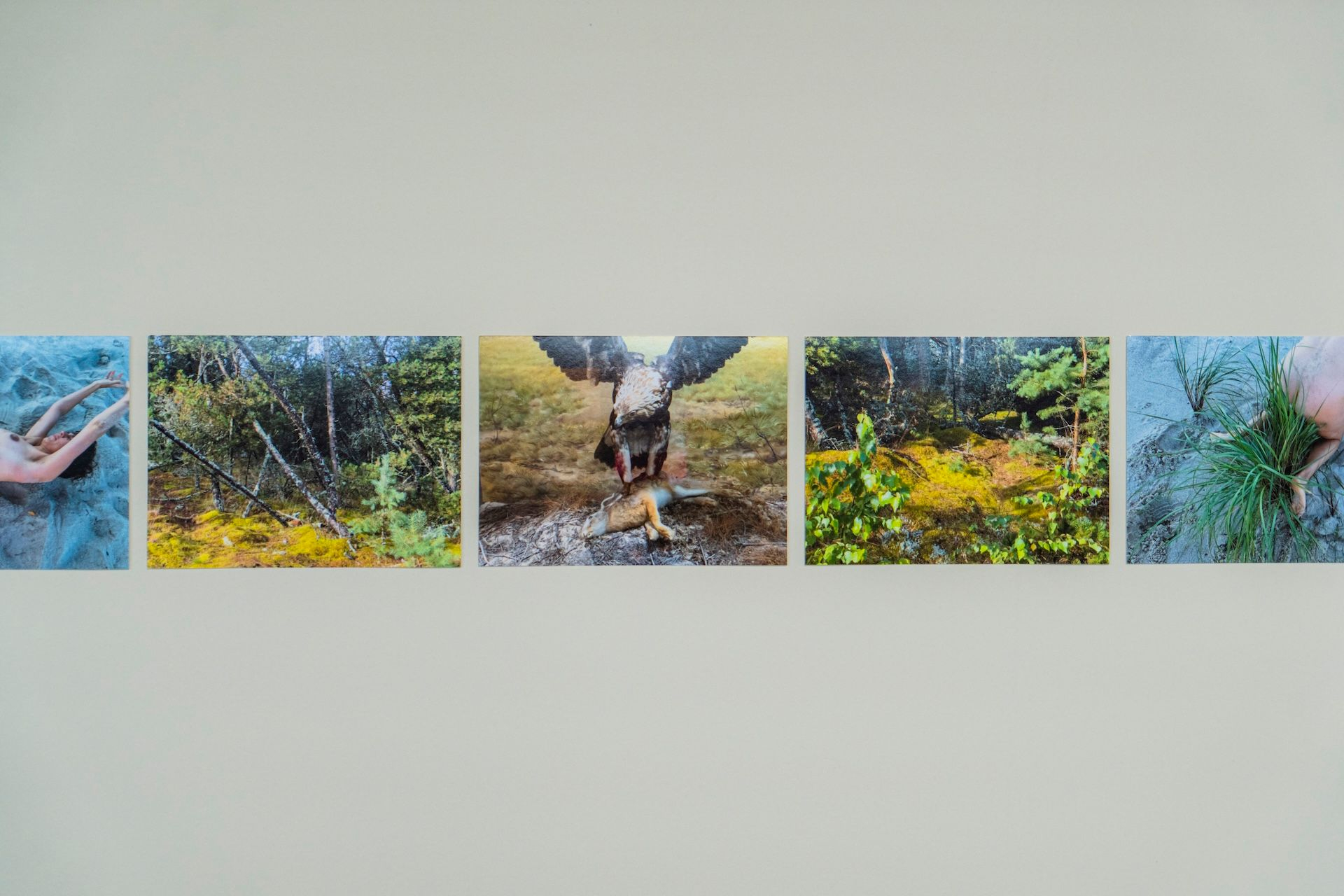 Juergen Teller you are invited