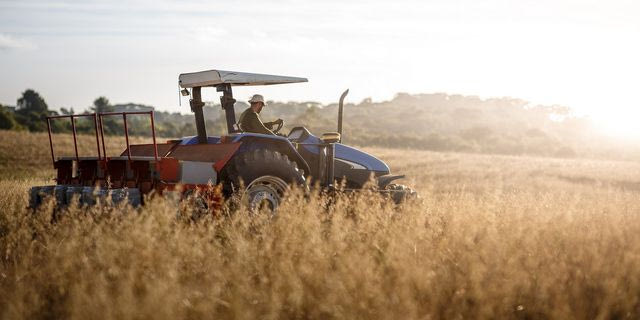 Ο Μητσοτάκης ζητά στήριξη από τους υπουργούς στα αγροτικά