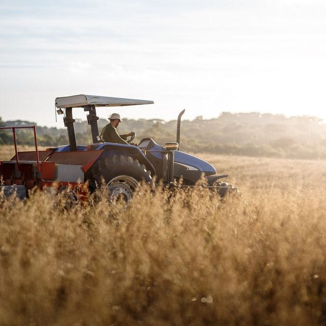 Ο Μητσοτάκης ζητά στήριξη από τους υπουργούς στα αγροτικά