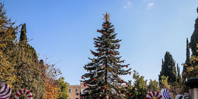 Πότε θα φωταγωγηθεί το χριστουγεννιάτικο δέντρο στο Σύνταγμα