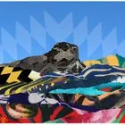 Δωρεάν αυτό το Σαββατοκύριακο: Εκθέσεις, ξεναγήσεις και βόλτες, 14-16 Νοεμβρίου