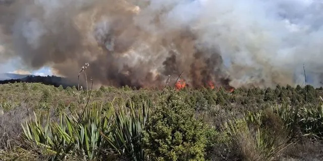 Μεγάλη πυρκαγιά σε εθνικό πάρκο της Νέας Ζηλανδίας