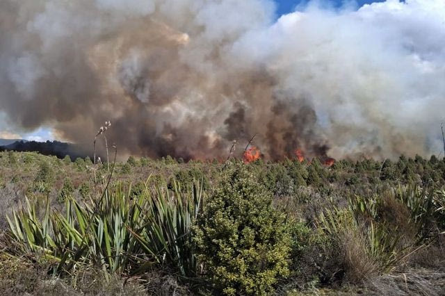Μεγάλη πυρκαγιά σε εθνικό πάρκο της Νέας Ζηλανδίας