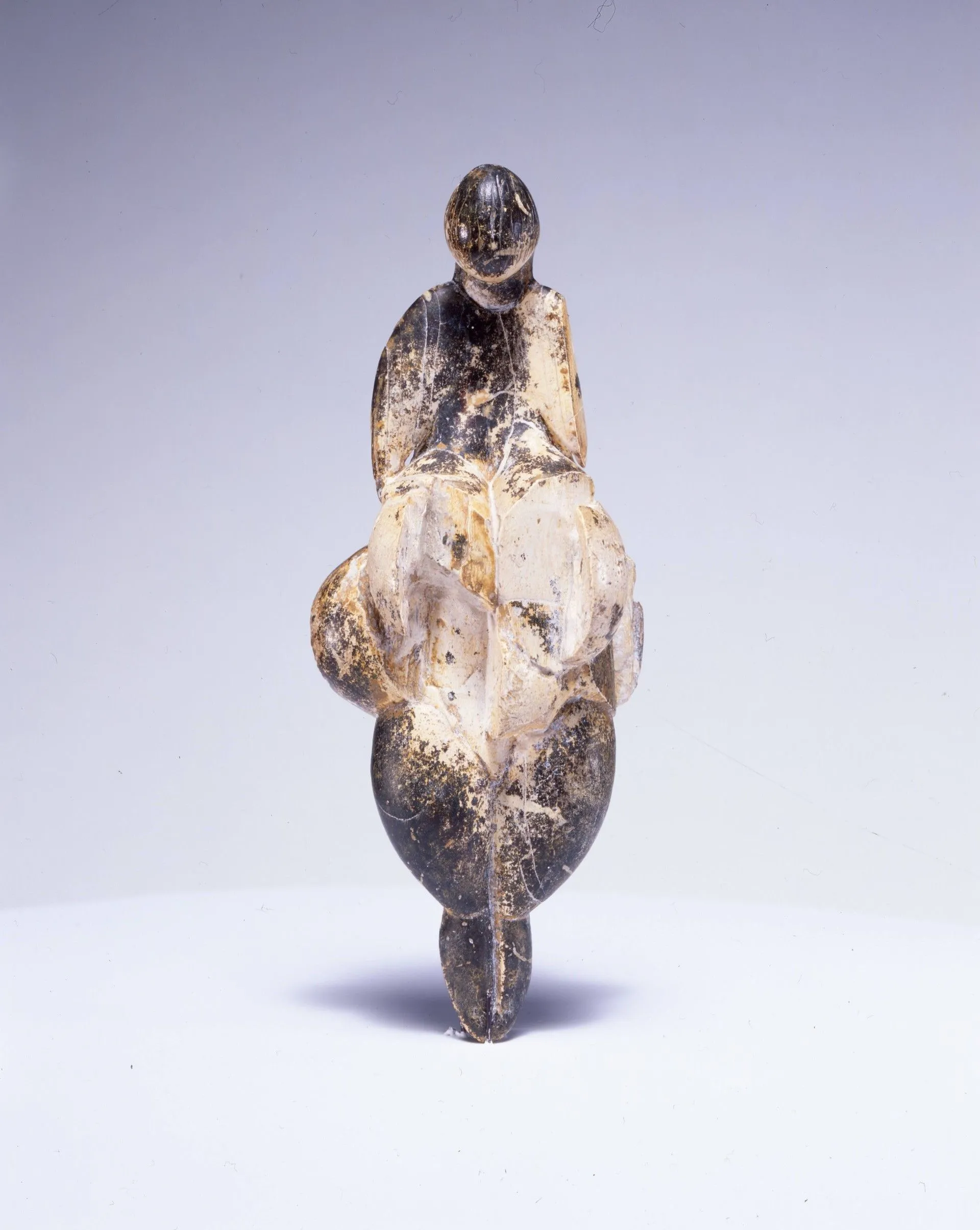 Αφροδίτη του Lespugue περ. 28.000 π.Χ. χαυλιόδοντας μαμούθ 14,7 x 6 x 3,6 εκ. Muséum national d’histoire naturelle, Paris