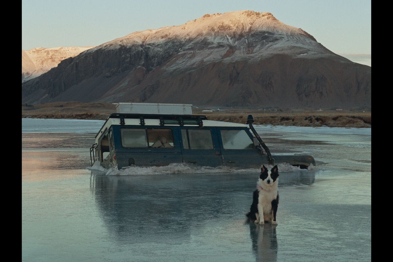 “Η φύση δεν είναι μόνο όμορφη – είναι και άγρια, σκληρή. Αυτό πρέπει να υπάρχει, αλλιώς η ζεστασιά μοιάζει ψεύτικη.”