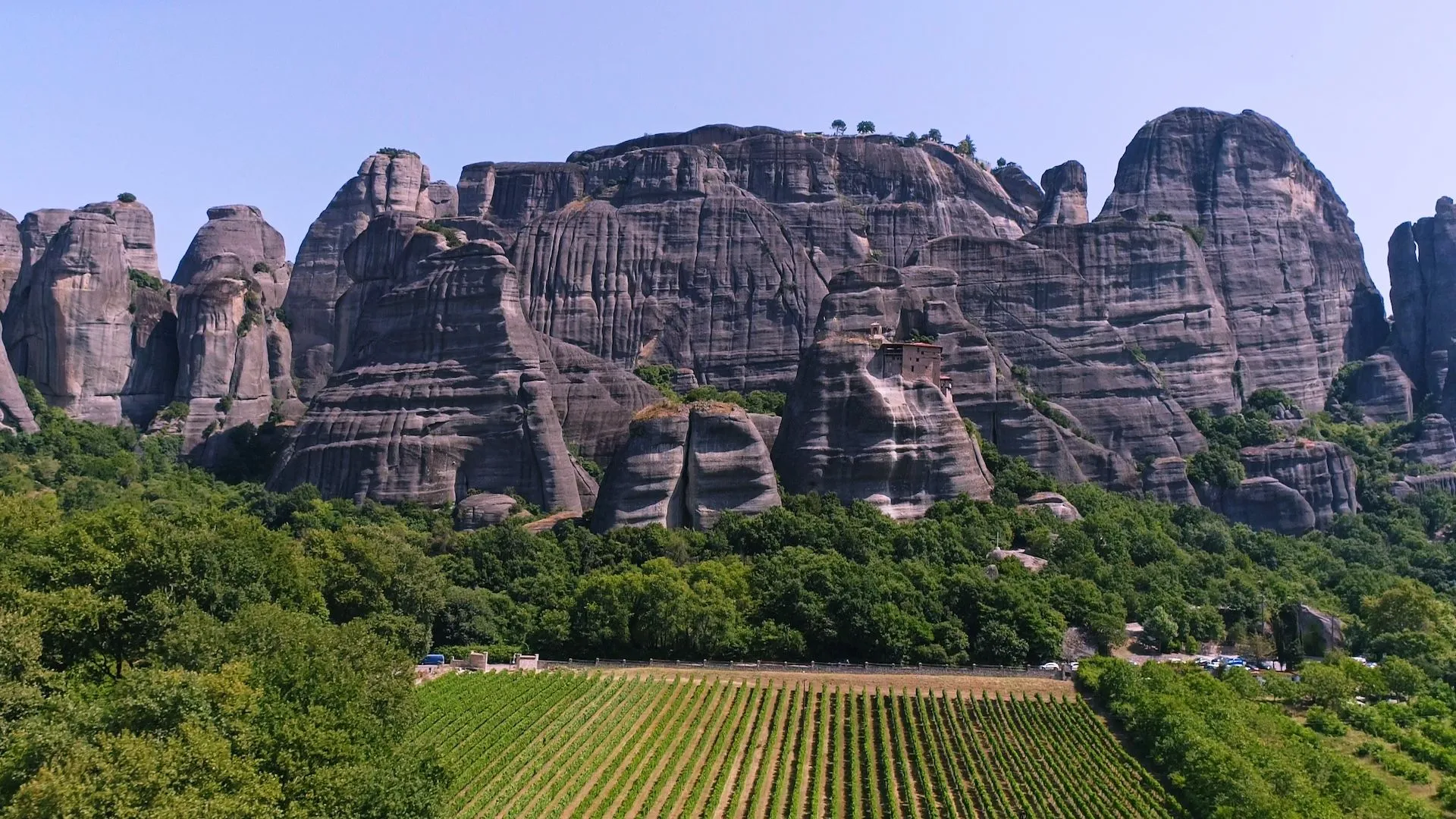 Αμπελώνες στα Μετέωρα