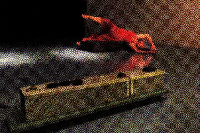 When adjusted to darkness by RACHA BAROUD and KINDA HASSAN