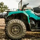 Θάνατος 4χρονου: Κάποιοι γνώριζαν τι είχε συμβεί κι έκρυψαν τη γουρούνα σε στάνη