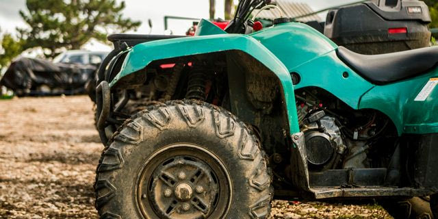 Θάνατος 4χρονου: Κάποιοι γνώριζαν τι είχε συμβεί κι έκρυψαν τη γουρούνα σε στάνη