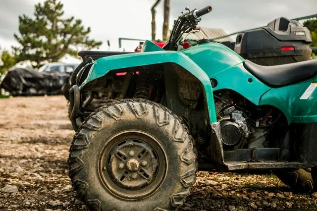 Θάνατος 4χρονου: Κάποιοι γνώριζαν τι είχε συμβεί κι έκρυψαν τη γουρούνα σε στάνη