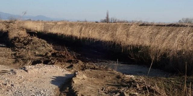 Πρόεδρος εταιρείας τροφίμων έριχνε βιομηχανικά απόβλητα κοντά στον Αξιό