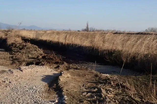 Πρόεδρος εταιρείας τροφίμων έριχνε βιομηχανικά απόβλητα κοντά στον Αξιό