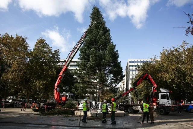 Έφτασε στο Σύνταγμα το χριστουγεννιάτικο δέντρο – Με τον Πάνο Μουζουράκη η φωταγώγησή του