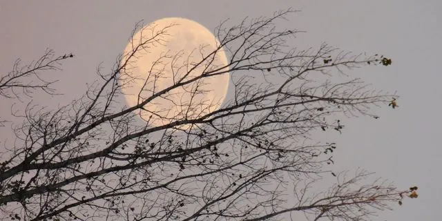 Πανσέληνος Νοεμβρίου: Γιατί αυτό το “Φεγγάρι του Κάστορα” είναι ξεχωριστό