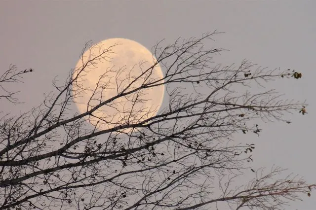 Πανσέληνος Νοεμβρίου: Γιατί αυτό το “Φεγγάρι του Κάστορα” είναι ξεχωριστό