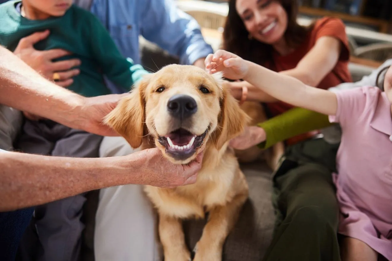 Επιστήμονες αποκαλύπτουν πως ο σκύλος σου είναι πιο άνθρωπος από όσο φαντάζεσαι