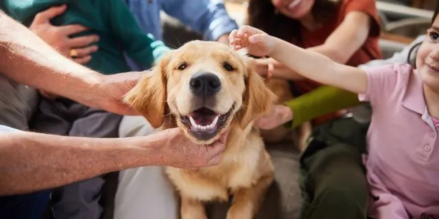 Επιστήμονες αποκαλύπτουν πως ο σκύλος σου είναι πιο άνθρωπος από όσο φαντάζεσαι