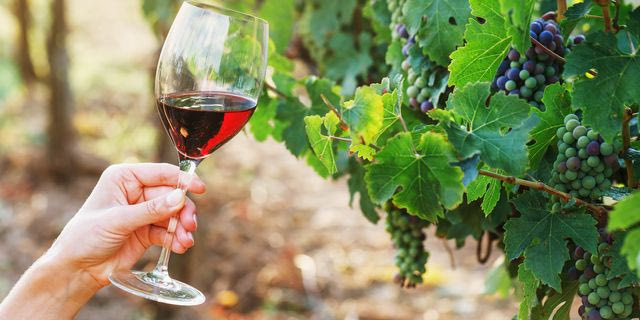 Η γαλλική οινοποιία εκπέμπει “SOS” – Σε απόγνωση οι παραγωγοί