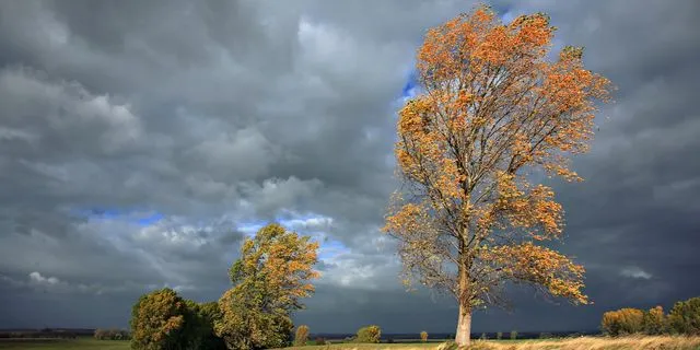 Βροχερός ο καιρός και σήμερα – Πού θα σημειωθούν καταιγίδες
