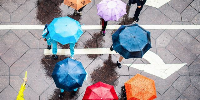 Άνθρωποι που κρατούν ομπρέλες στη βροχή