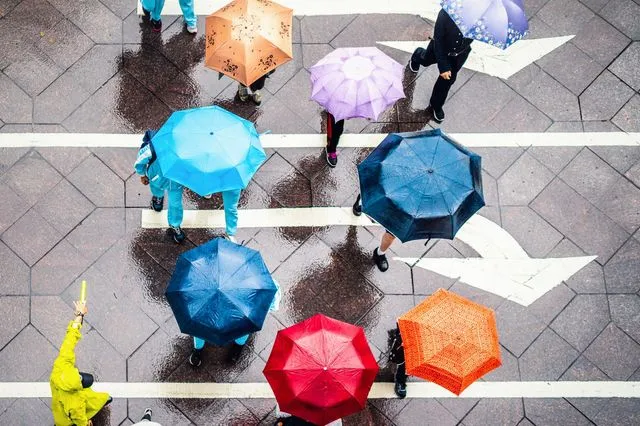 Άνθρωποι που κρατούν ομπρέλες στη βροχή