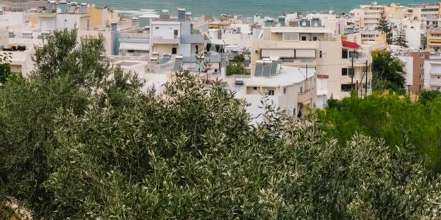 Ο Δήμος Γλυφάδας μαζεύει τις ελιές του και μοιράζει 2 τόνους λάδι – Ο δικός σου δήμος τι κάνει;