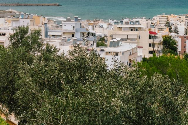 Ο Δήμος Γλυφάδας μαζεύει τις ελιές του και μοιράζει 2 τόνους λάδι – Ο δικός σου δήμος τι κάνει;