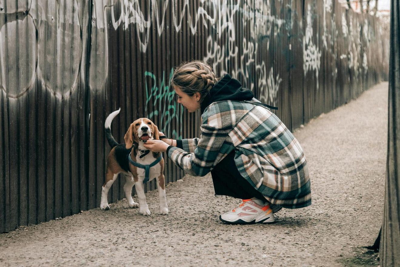 Δωρεάν αυτό το Σαββατοκύριακο – 10 προτάσεις χωρίς είσοδο 7-9 Νοεμβρίου