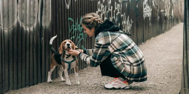 Δωρεάν αυτό το Σαββατοκύριακο – 10 προτάσεις χωρίς είσοδο 8-9 Νοεμβρίου