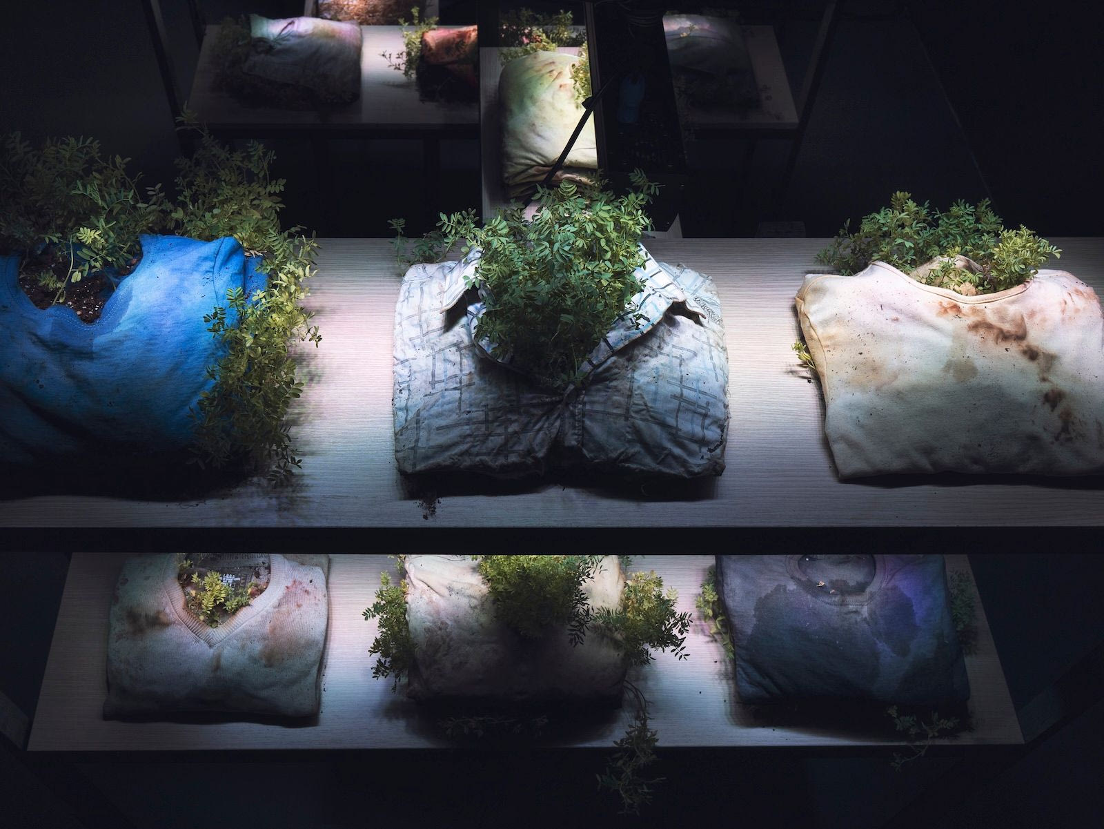 Σοφία Κυριακίδου-THE GARDEN