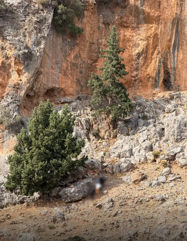 Η σπηλιά μέσα στην οποία έκρυβε τα όπλα ο γαμπρός του 39χρονου