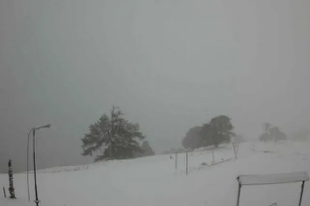 Έπεσαν τα πρώτα χιόνια σε Ήπειρο και Μακεδονία – “Στα λευκά” η Βασιλίτσα