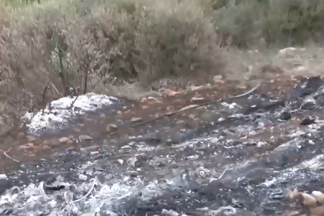 Άγριο έγκλημα στη Βοιωτία: “Καλοσχεδιασμένη ενέργεια” λέει η Δημογλίδου