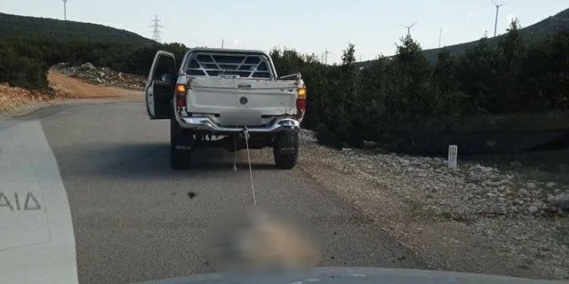 Φρίκη στη Βοιωτία: Αγροτικό έσερνε σκύλο, δεμένο στον προφυλακτήρα