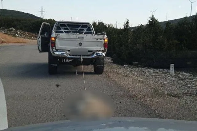 Φρίκη στη Βοιωτία: Αγροτικό έσερνε σκύλο, δεμένο στον προφυλακτήρα