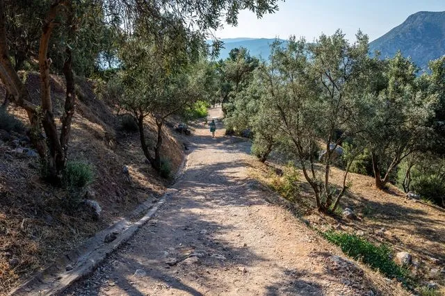 Μονοπάτι σε βουνό