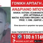Αττική: Συναγερμός για τη γονική αρπαγή 8χρονου στην Αρτέμιδα