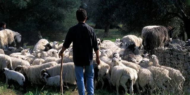 “Τα ειρηνικά τελείωσαν”: Μπλόκο σε όλα τα λιμάνια και τα αεροδρόμια της Κρήτης