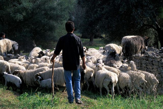 “Τα ειρηνικά τελείωσαν”: Μπλόκο σε όλα τα λιμάνια και τα αεροδρόμια της Κρήτης