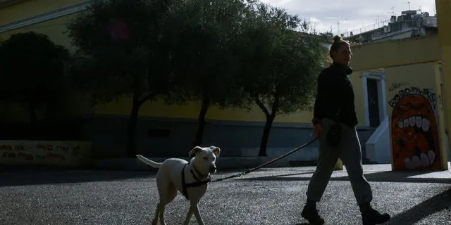 Βόλτα με σκύλο στην Αθήνα