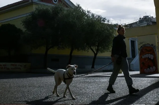Βόλτα με σκύλο στην Αθήνα